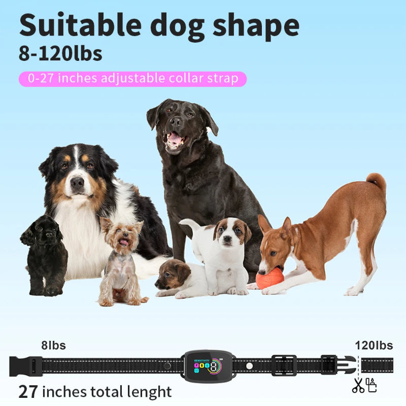 Smart And Safe Dog Training Collar
