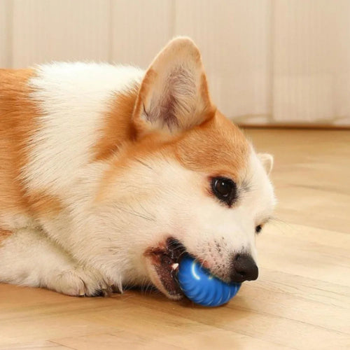 Smart Pet Toy Ball