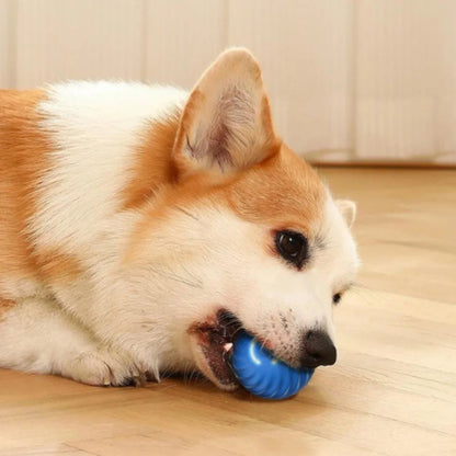 Smart Pet Toy Ball