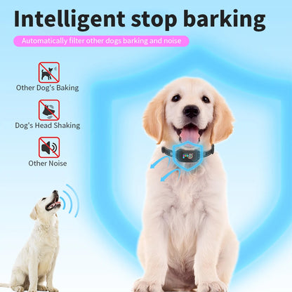 Smart And Safe Dog Training Collar
