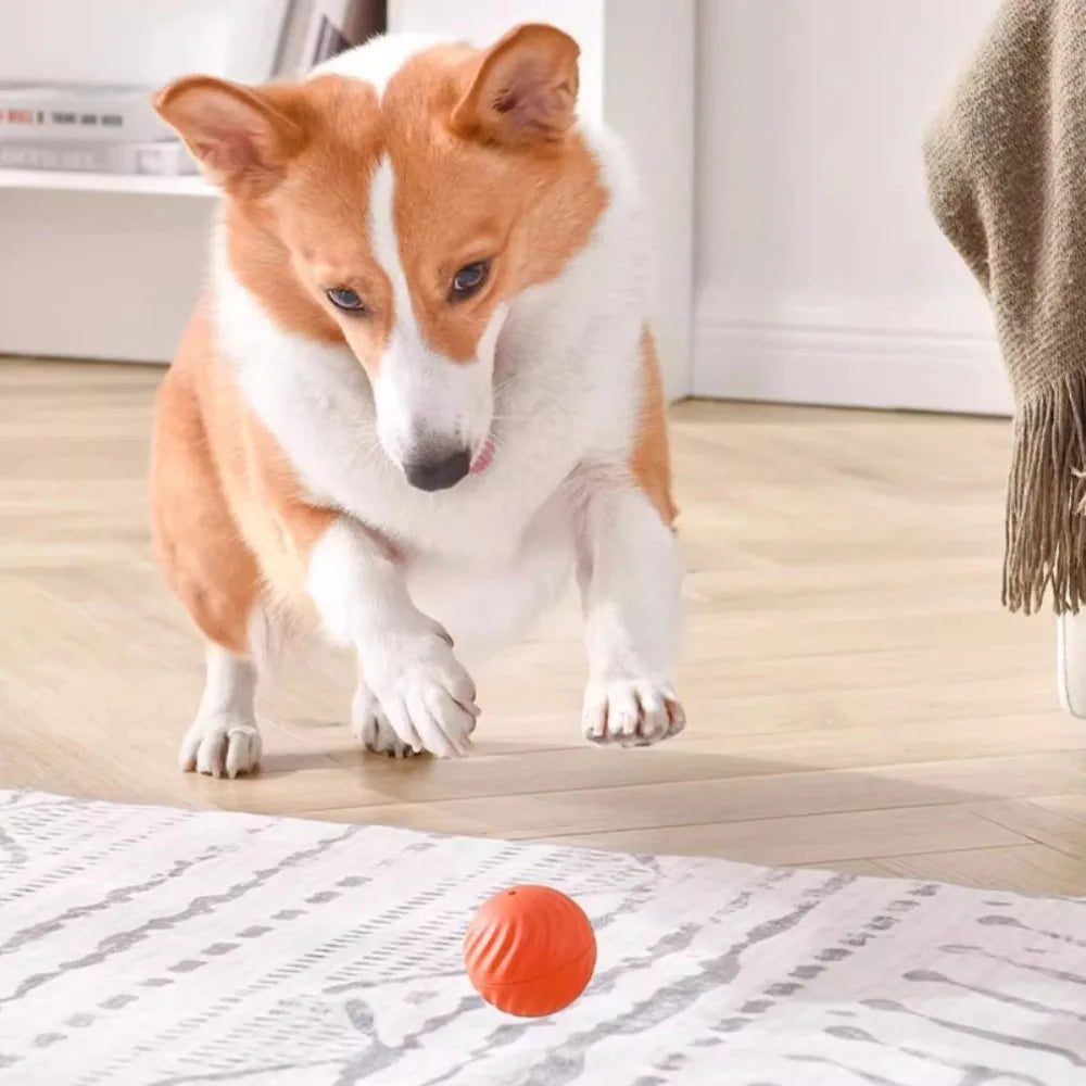 Smart Pet Toy Ball
