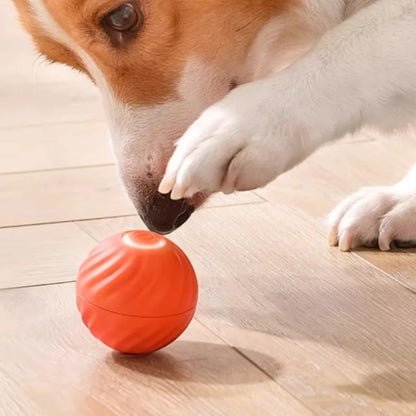 Smart Pet Toy Ball