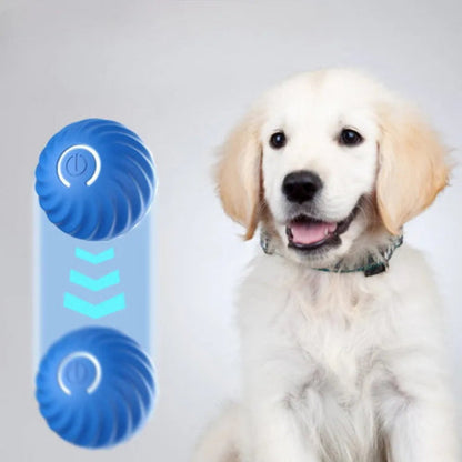 Smart Pet Toy Ball