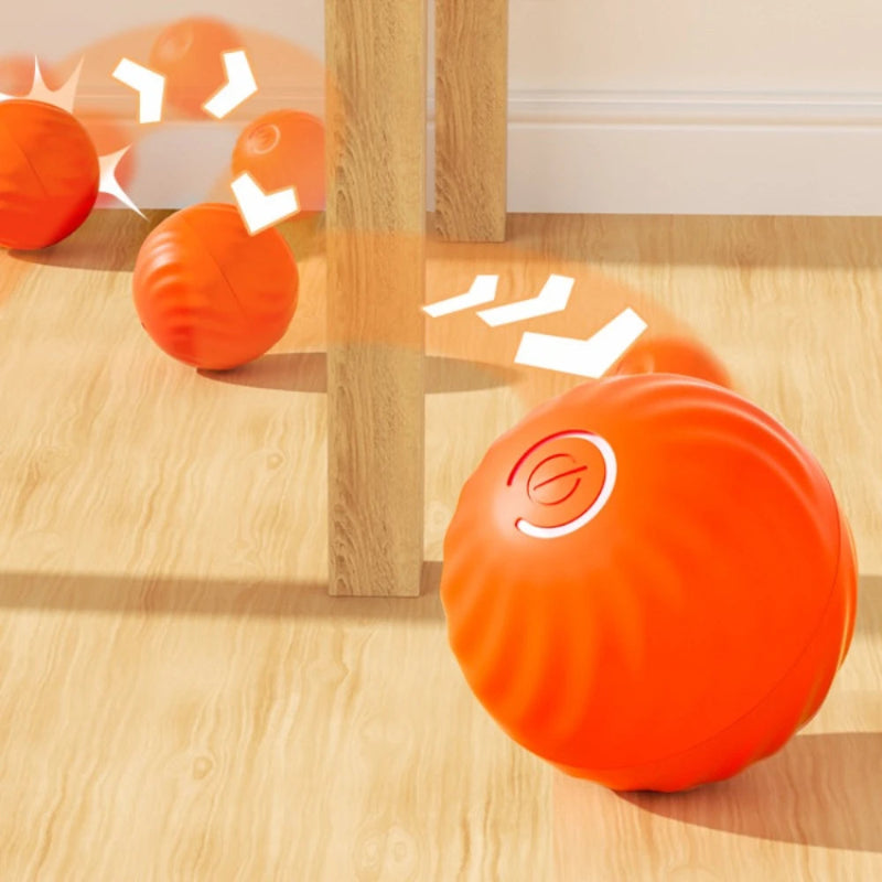 Smart Pet Toy Ball