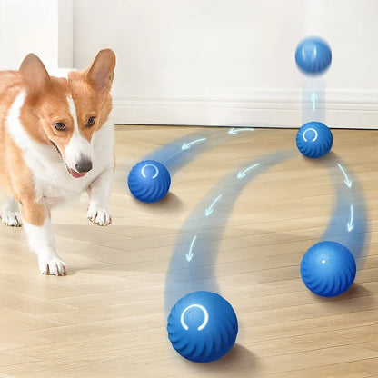 Smart Pet Toy Ball